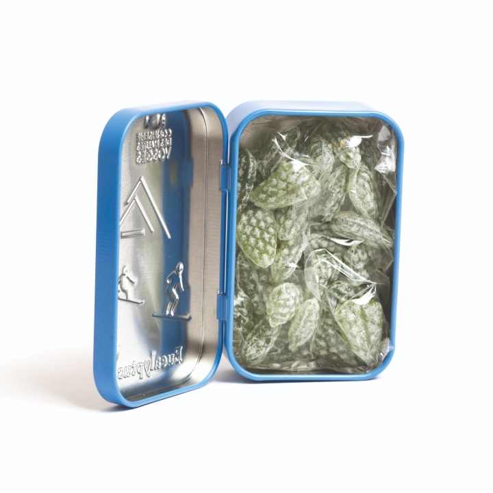 Boîte de poche bonbon Eucalyptus 70g CDHV