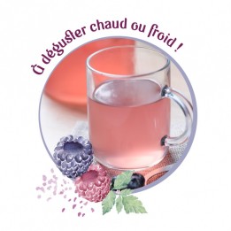 20 dosettes de brisures fruits rouges 160g CDHV