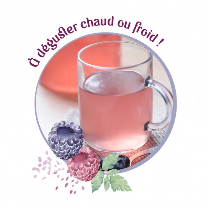 20 dosettes de brisures fruits rouges 160g CDHV