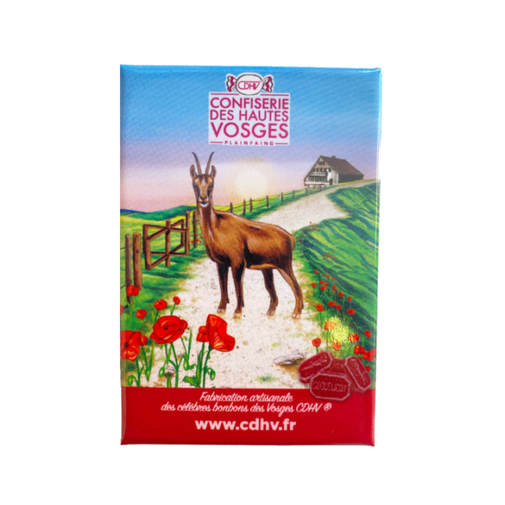 Magnet rouge - coquelicot - collection 2026