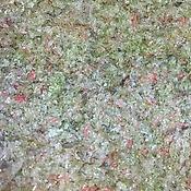 20 dosettes de brisures de bonbons CDHV pour infusions® - EXTRAFINE FORTES 