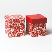 Boîte fruitée de Noël 