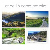 Lot de 16 cartes postales