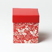 Boîte fruitée de Noël 
