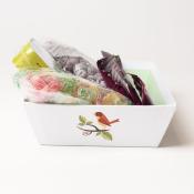 Coffret oiseaux