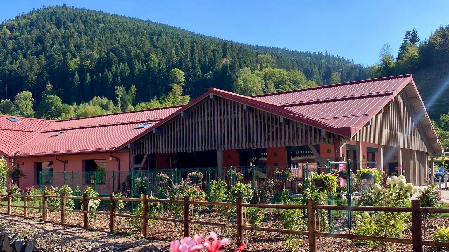 Les confiseries de France, région par région